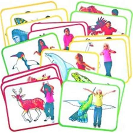 Roylco Roylco  Inc. R-62010 Body Poetry Animal Action Cards R-62010